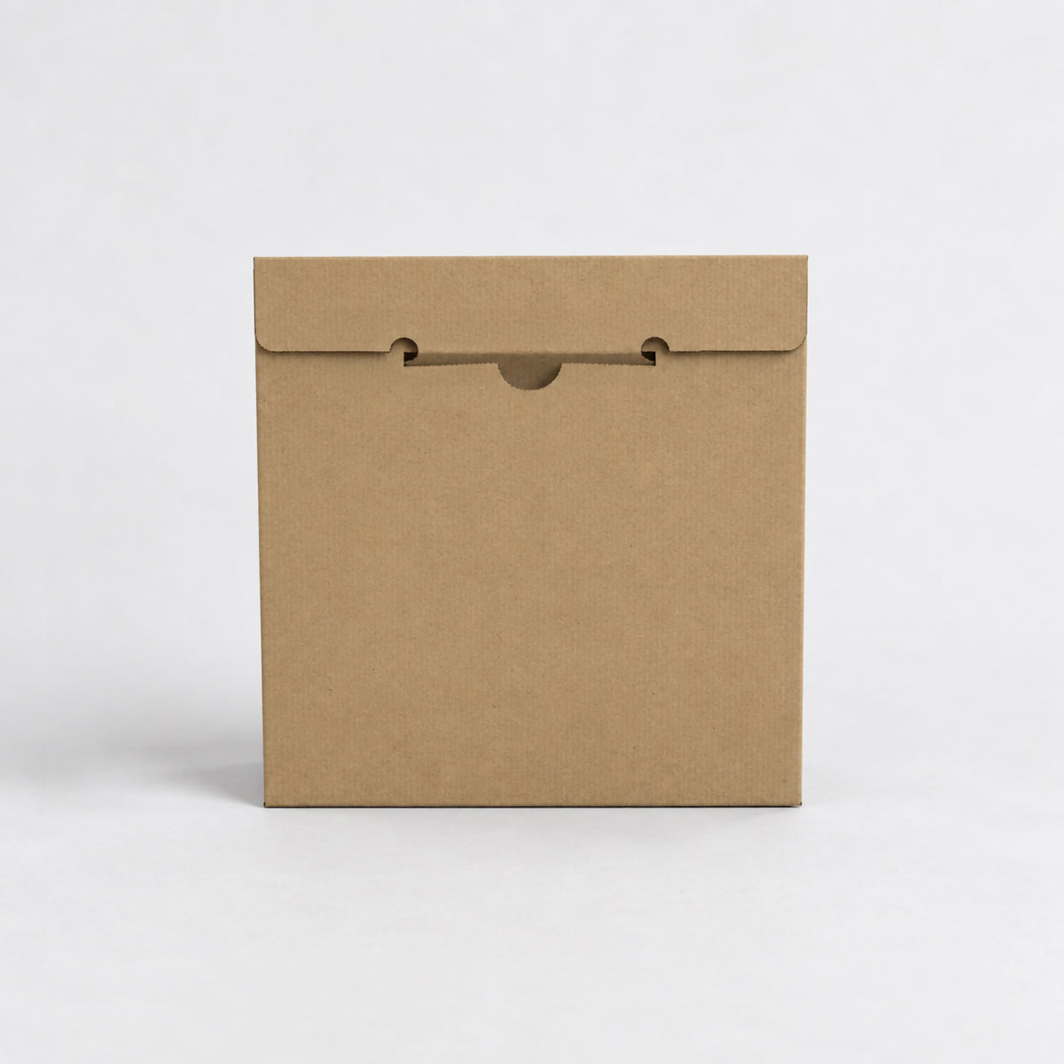 Vinyl Record Mailer
