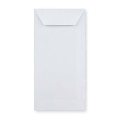 DL White Envelope (220 x 110mm)