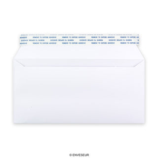 DL White Business Peel & Seal Envelope (110 x 220mm)