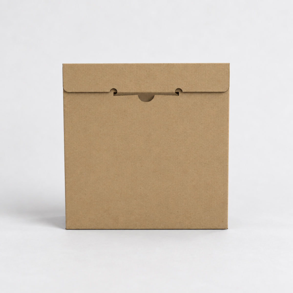 Vinyl Record Mailer